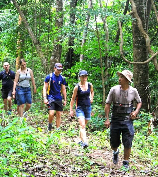 Hikking and Trekking