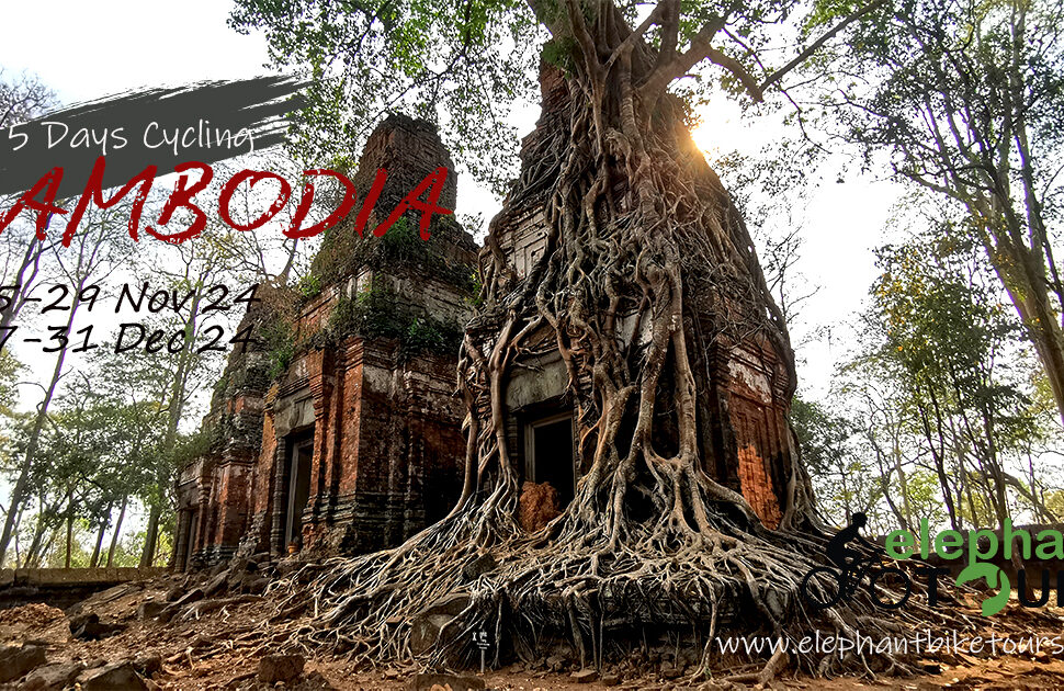 Siem Reap activities and attractions in 2025