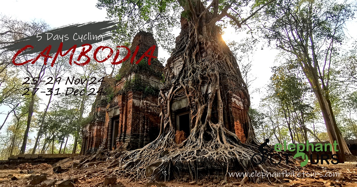 Siem Reap activities and attractions in 2025