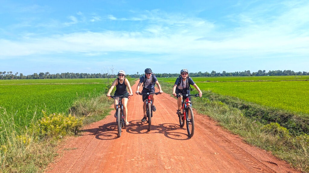 Cycling tour on backroads with green rice field