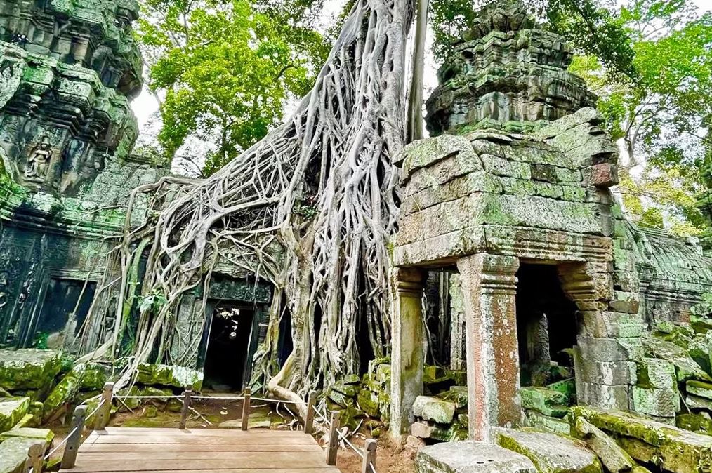 Ta Prohm Temple in Siem Reap