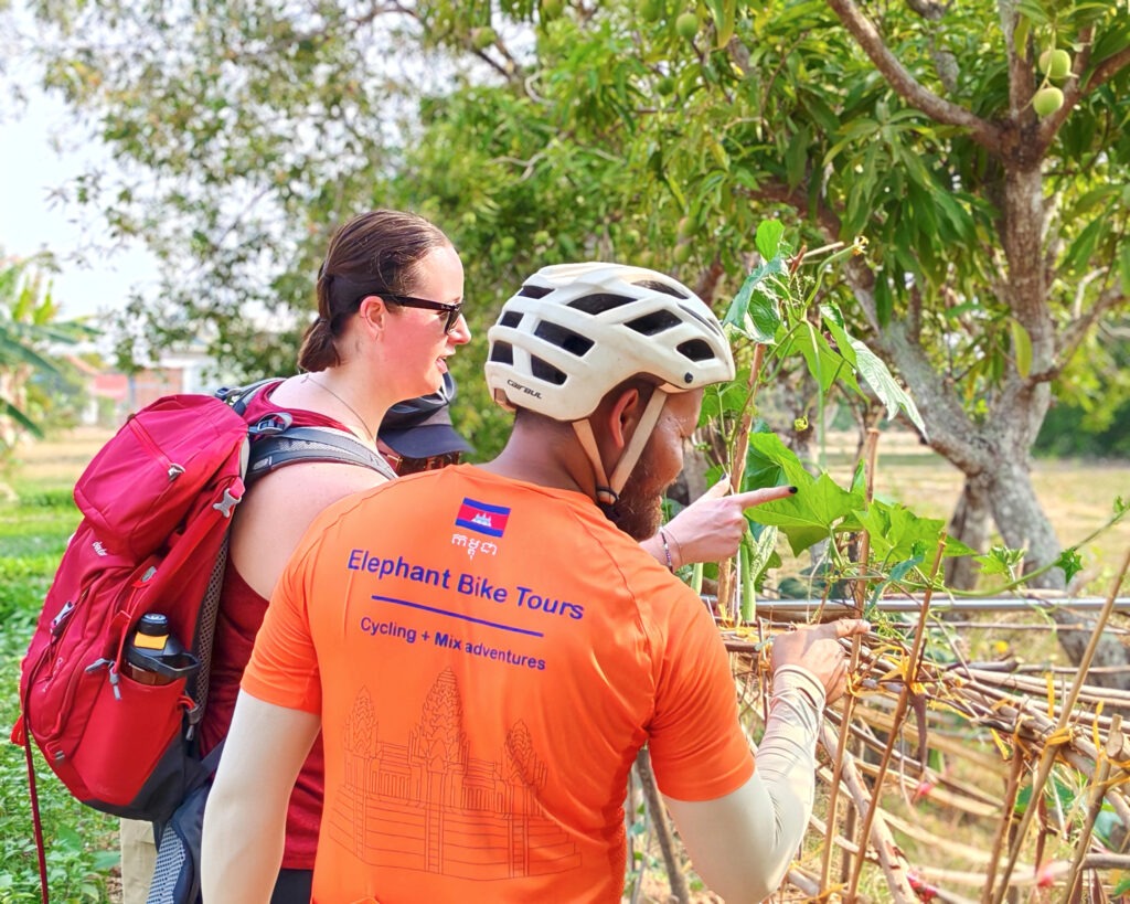 A half-day activity: Countryside tour with local