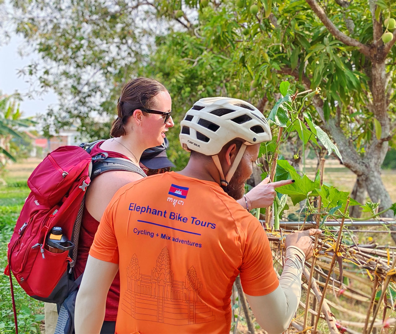 Local interaction and guided tour at the countryside