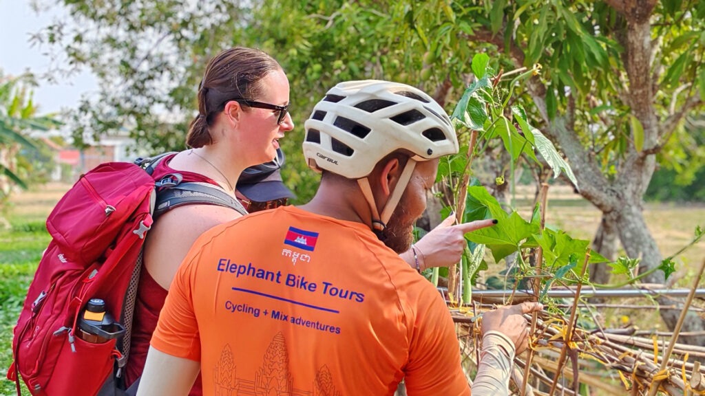 Visit local farm in the Siem Reap countryside