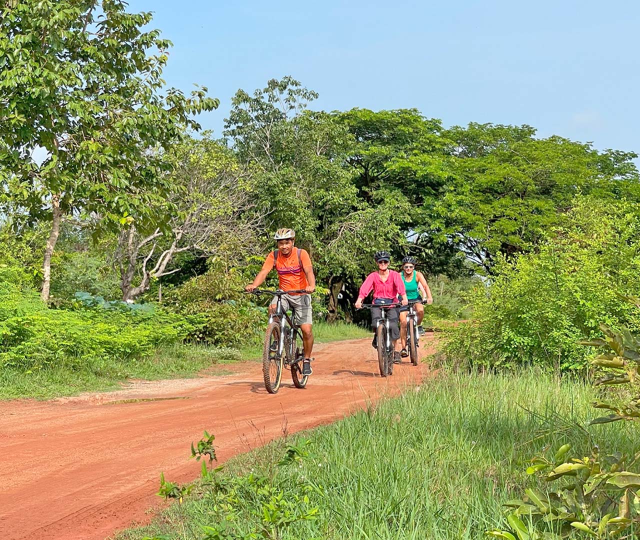 The Siem Reap Countryside at Sunset