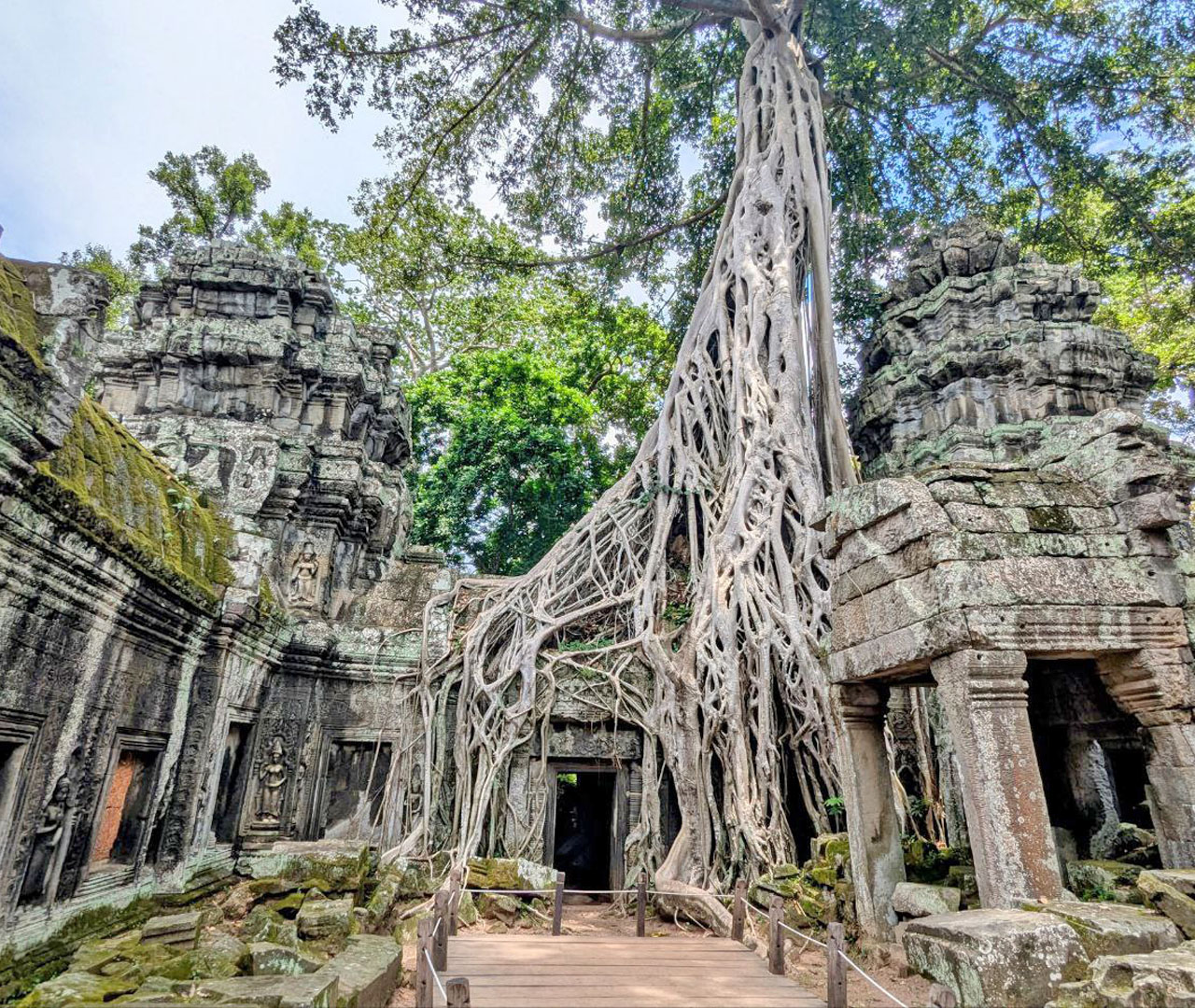 Ta Prohm temple with towering tree