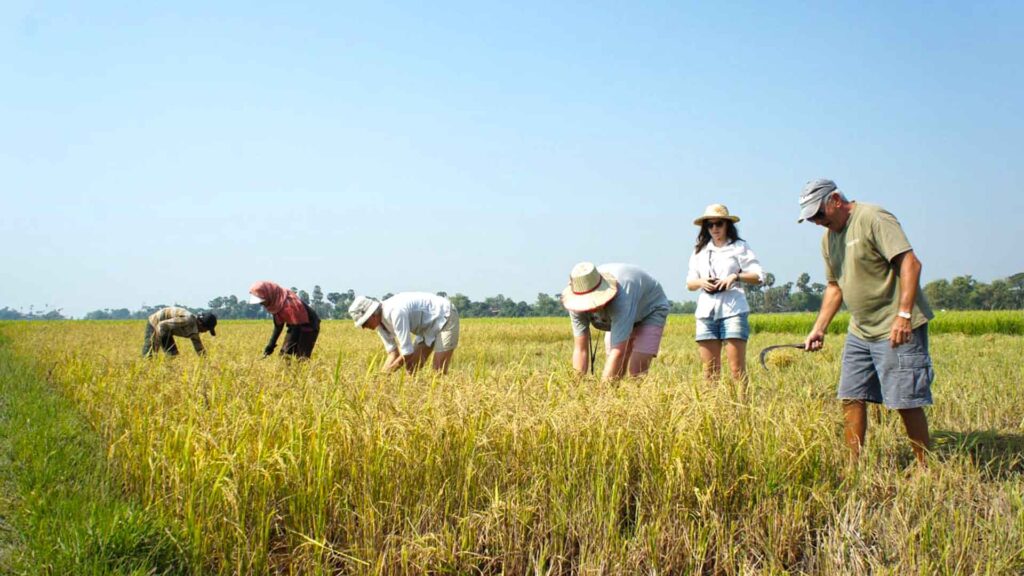 Siem Reap Village Tour with locals for a day life of Siem Reap by local, village tour by Tuk Tuk with local guide