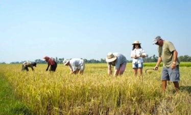 Siem Reap Village Tours for a day life of Siem Reap by local, village tour by Tuk Tuk with local guide