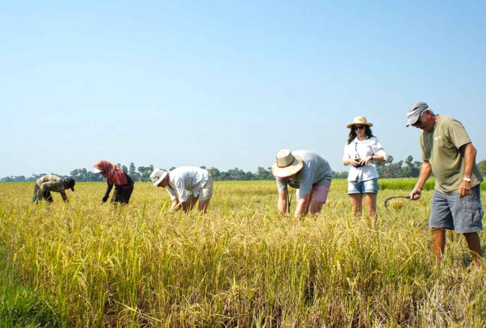 Siem Reap Village Tour with locals for a day life of Siem Reap by local, village tour by Tuk Tuk with local guide