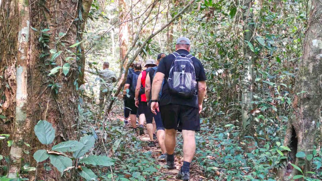 Hiking tour in the jungle of Angkor park