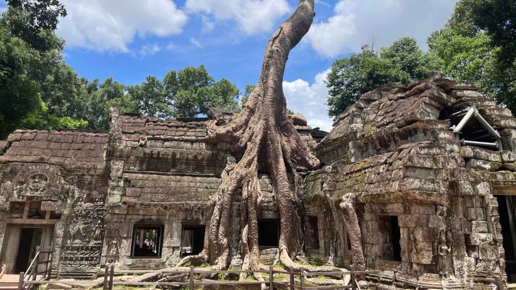 Ta Prohm temple with the tree overgrown