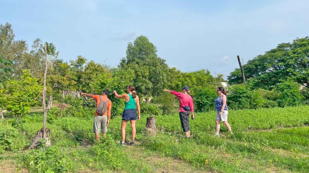 Village for a day life learn and laugh in Siem Reap