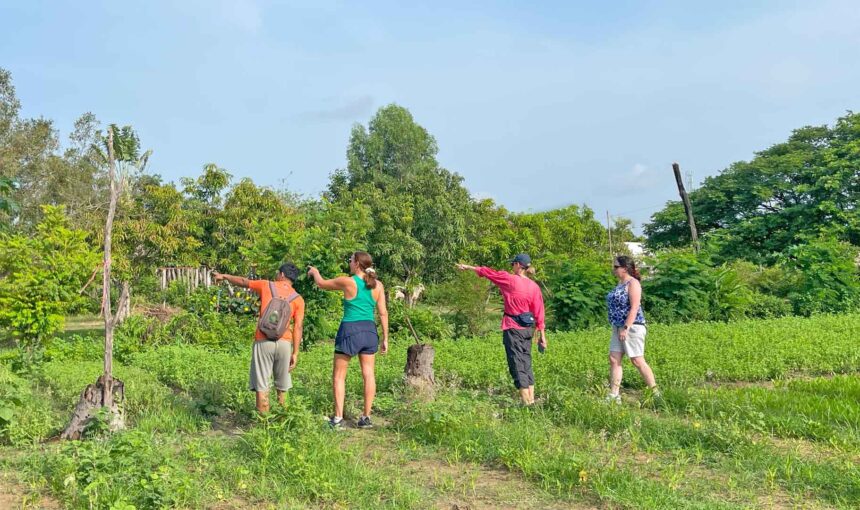 Village Tour for a Day Life, Learn and Laugh by Local Tuk Tuk