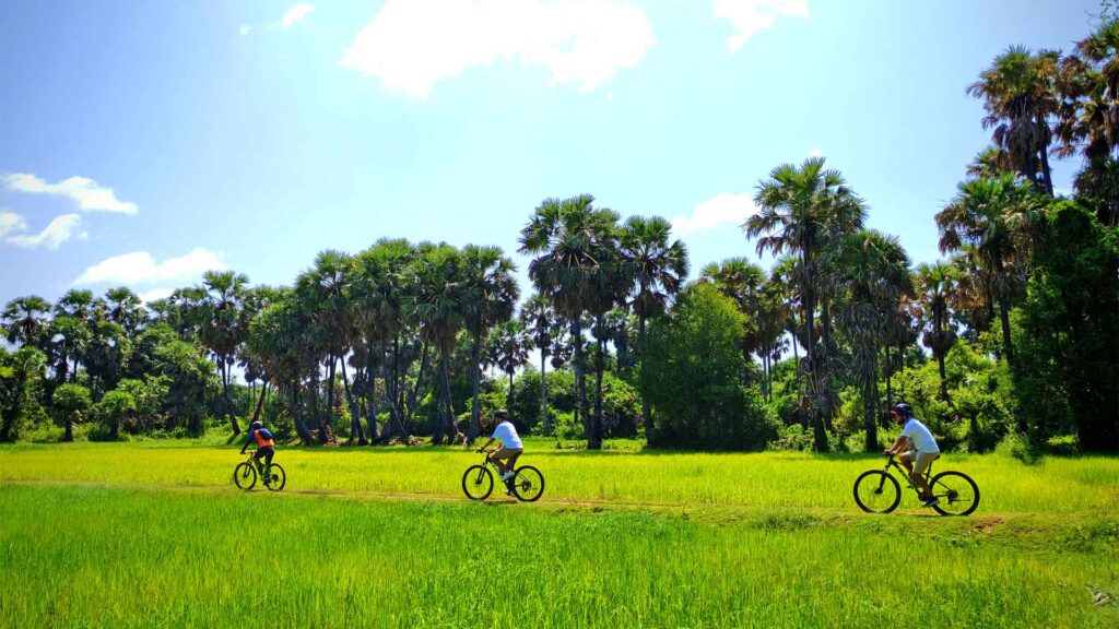 Cycling tour in the green season in Cambodia and Siem Reap