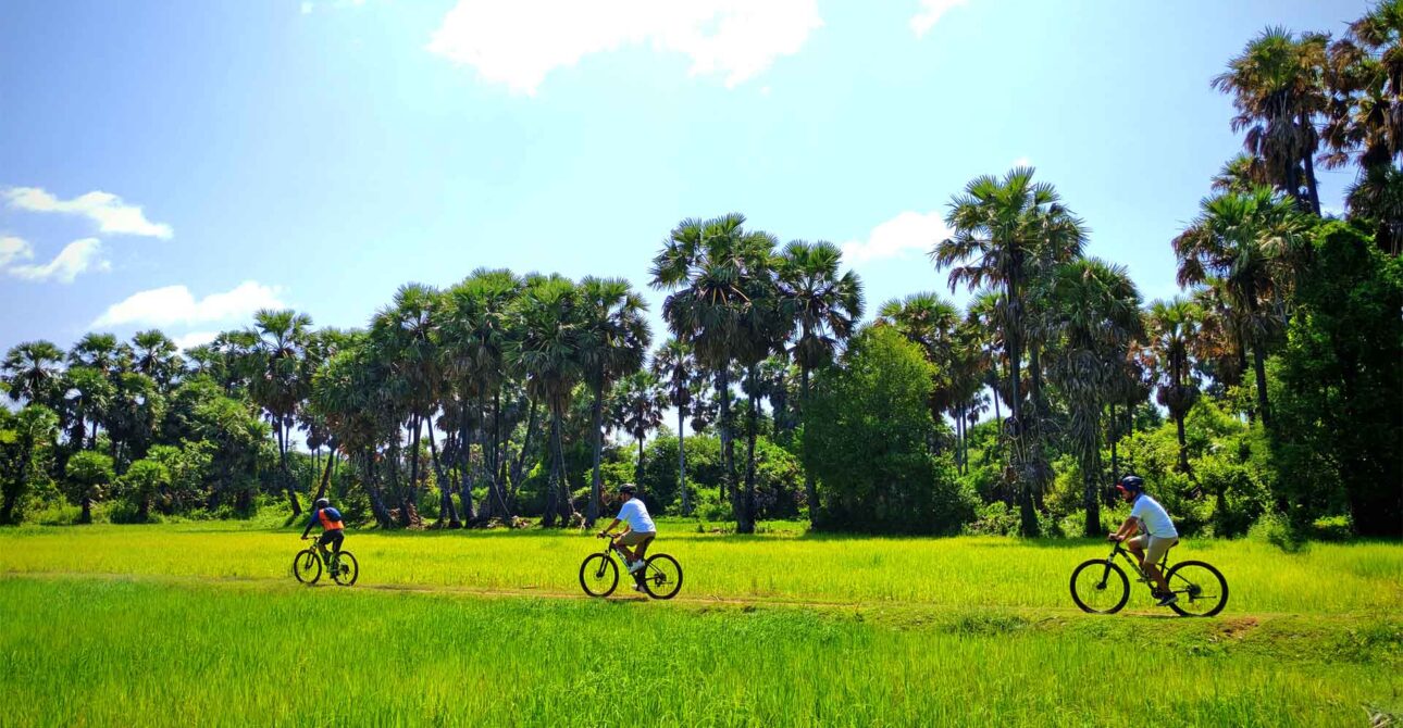 Siem Reap Half-day: Bike Tour to the Countryside, Village Vibe and Back road