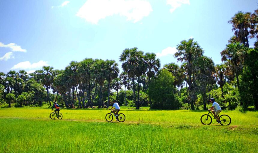 Siem Reap Half-day: Bike Tour to the Countryside, Village Vibe and Back road