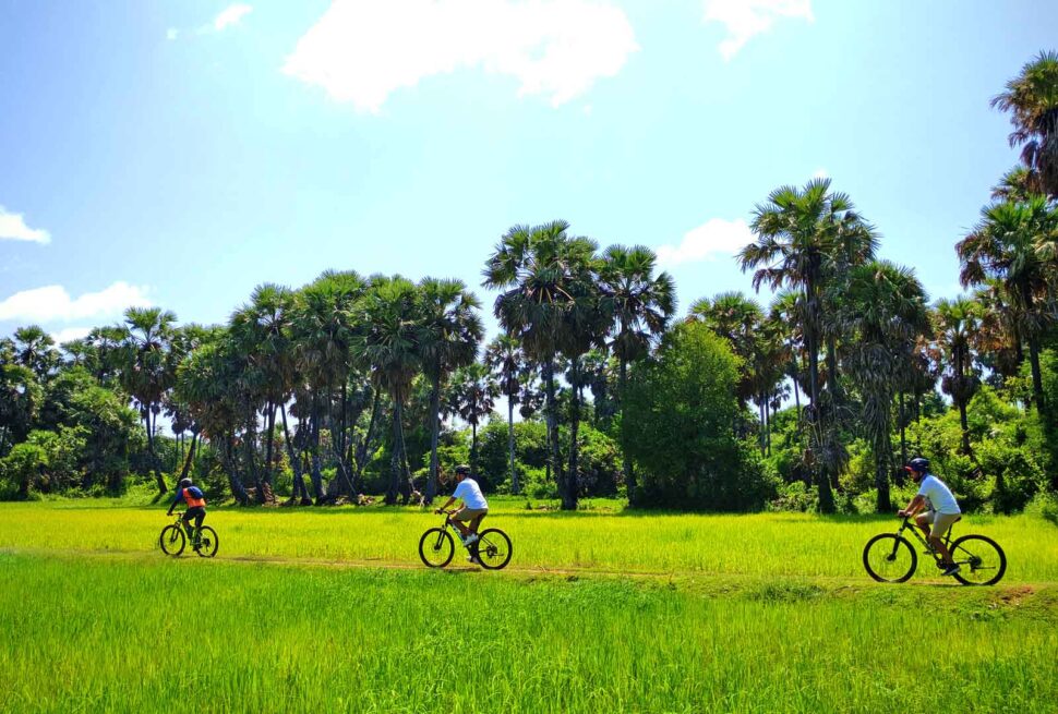 Cycling tour in the green season in Cambodia and Siem Reap