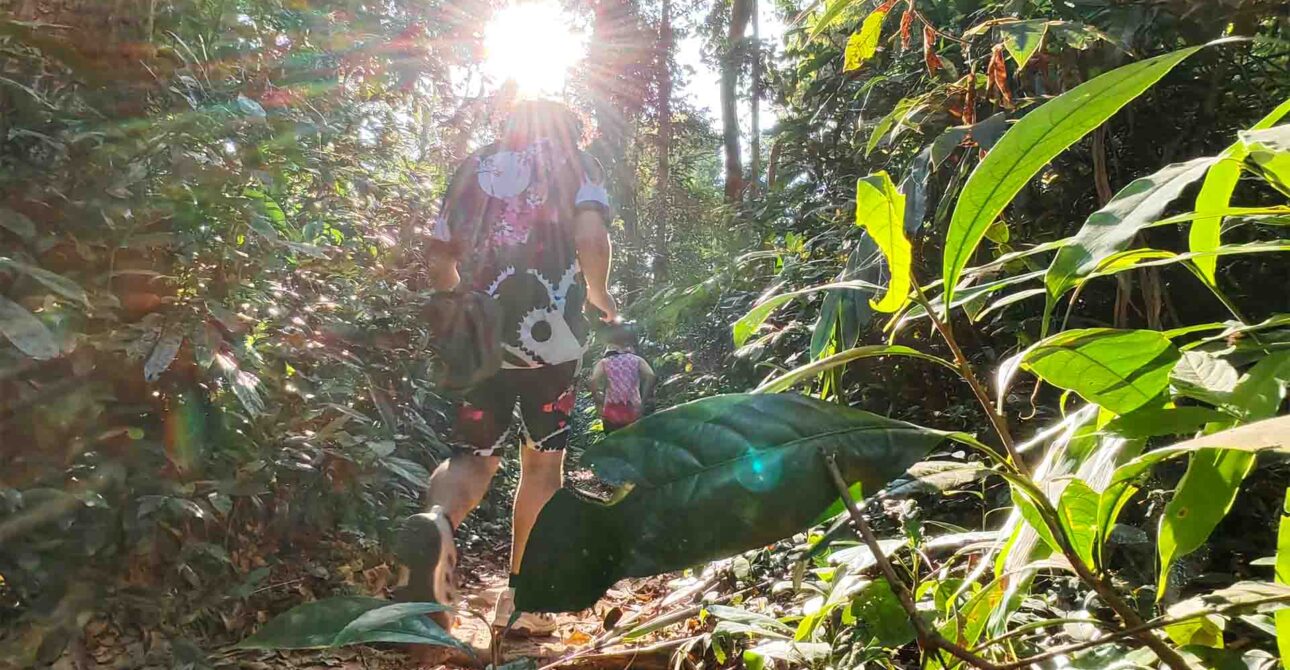 Angkor Discovery by Bike and Hike, Temples and Village Tour