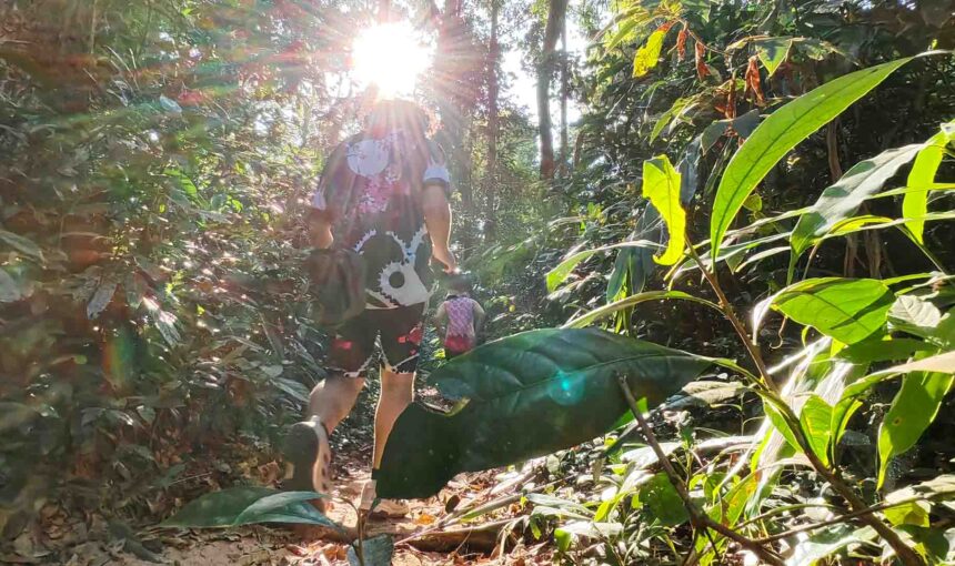 Angkor Discovery by Bike and Hike, Temples and Village Tour