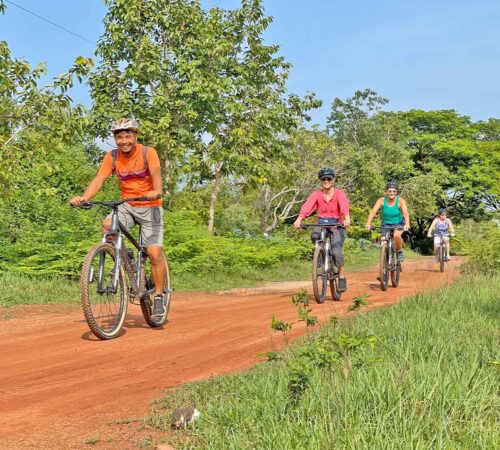 Cycling tour on the Mekong river and local guide
