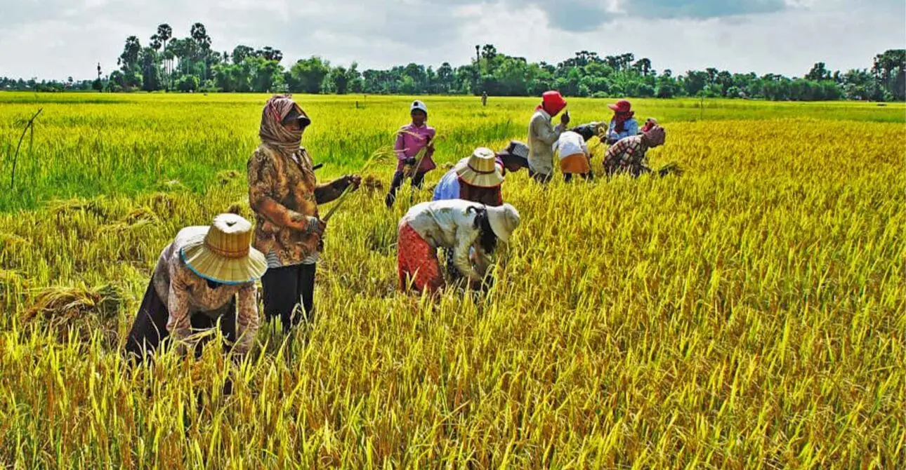 Siem Reap Village Tour with Locals: Experience Everyday Cambodian Life