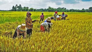 Siem Reap village tour with locals and experience everyday life