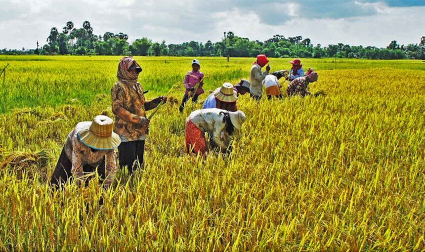 Siem Reap Village Tour with Locals: Experience Everyday Cambodian Life
