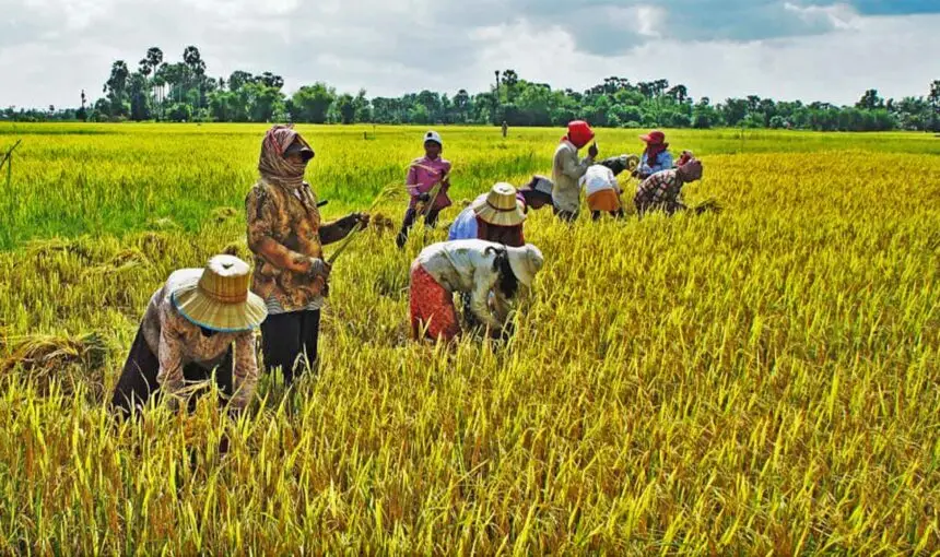 Siem Reap Village Tour with Locals: Experience Everyday Cambodian Life