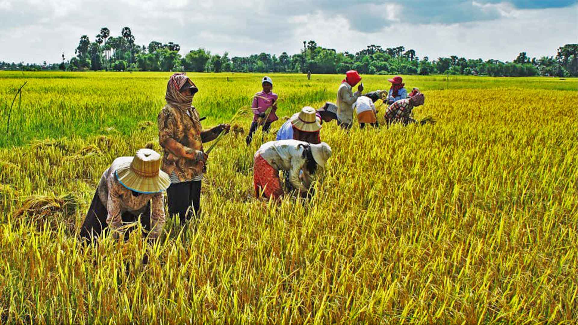 Siem Reap village tour with locals and experience everyday life