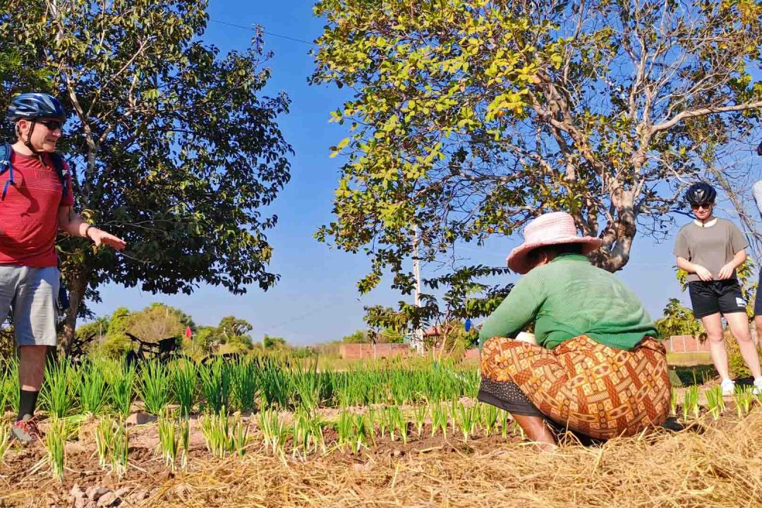 Biking Tour in Vietnam with Elephant Bike Tours